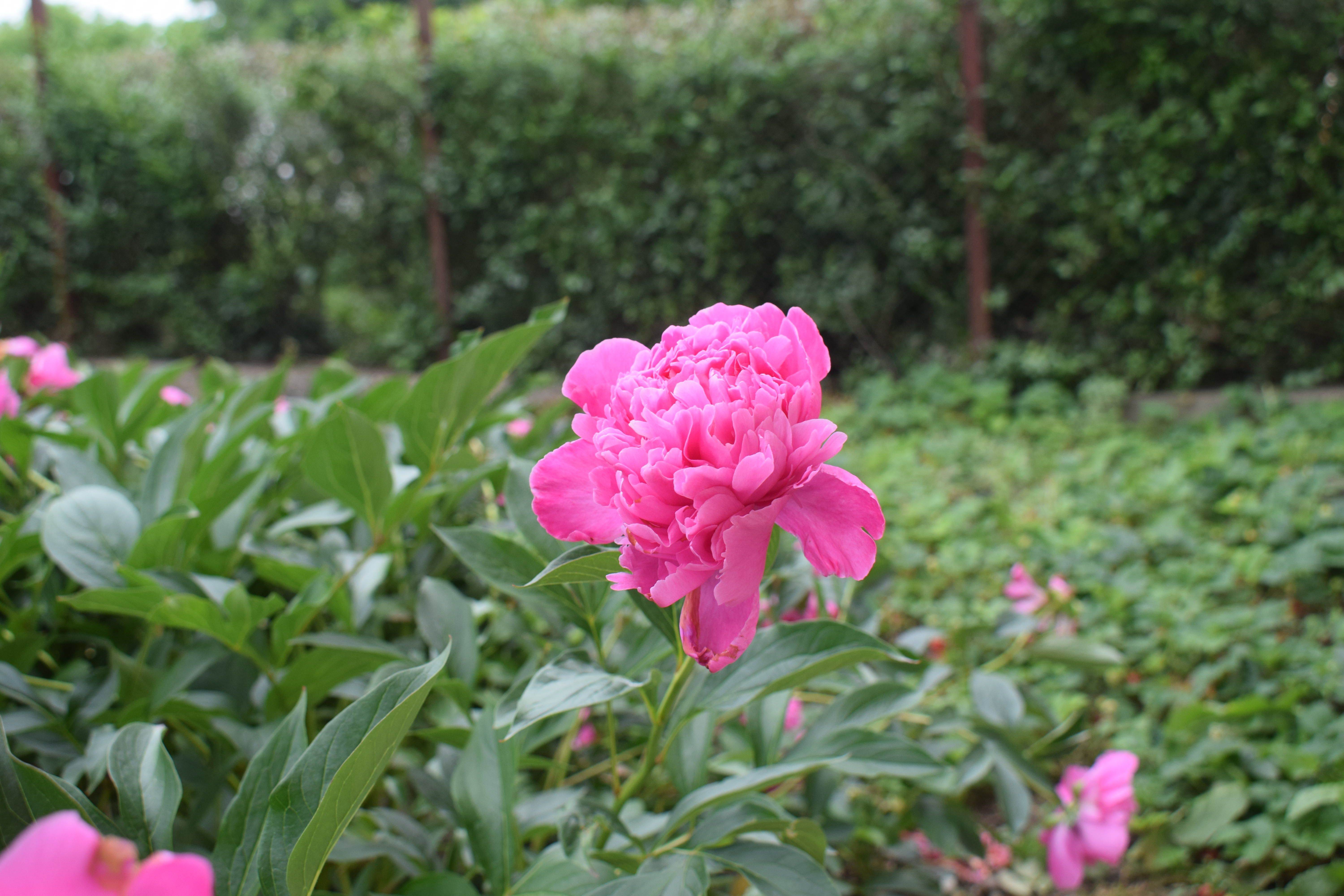 DSC_1221.jpg
