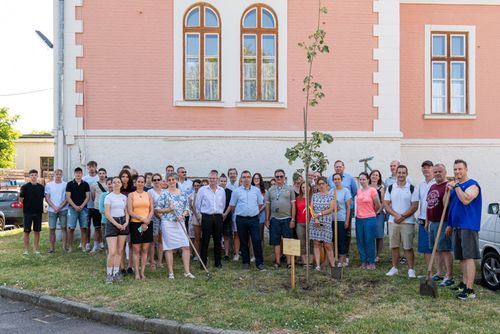 Faültetés az Inczédyben
